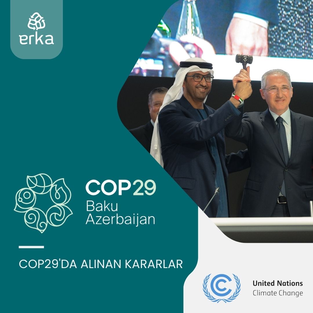 COP29’da Alınan Kararlar Küresel İklim Eyleminde Önemli Adımlar